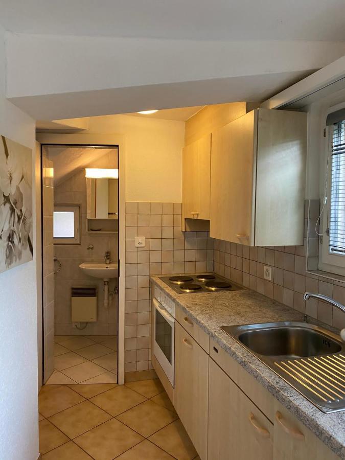 Casa Sibylle Studio - Piccolo Paradiso Minusio ภายนอก รูปภาพ