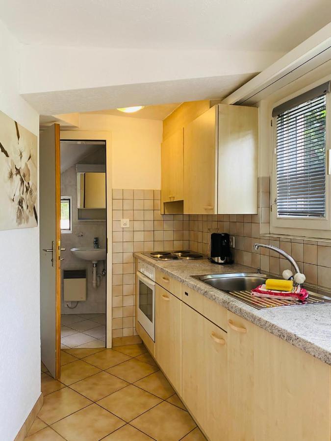 Casa Sibylle Studio - Piccolo Paradiso Minusio ภายนอก รูปภาพ