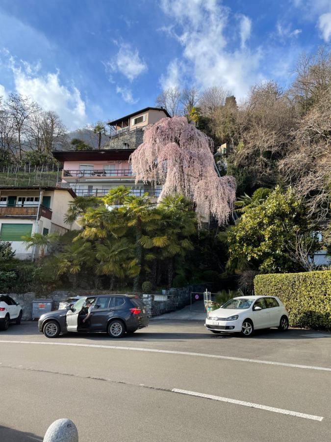 Casa Sibylle Studio - Piccolo Paradiso Minusio ภายนอก รูปภาพ